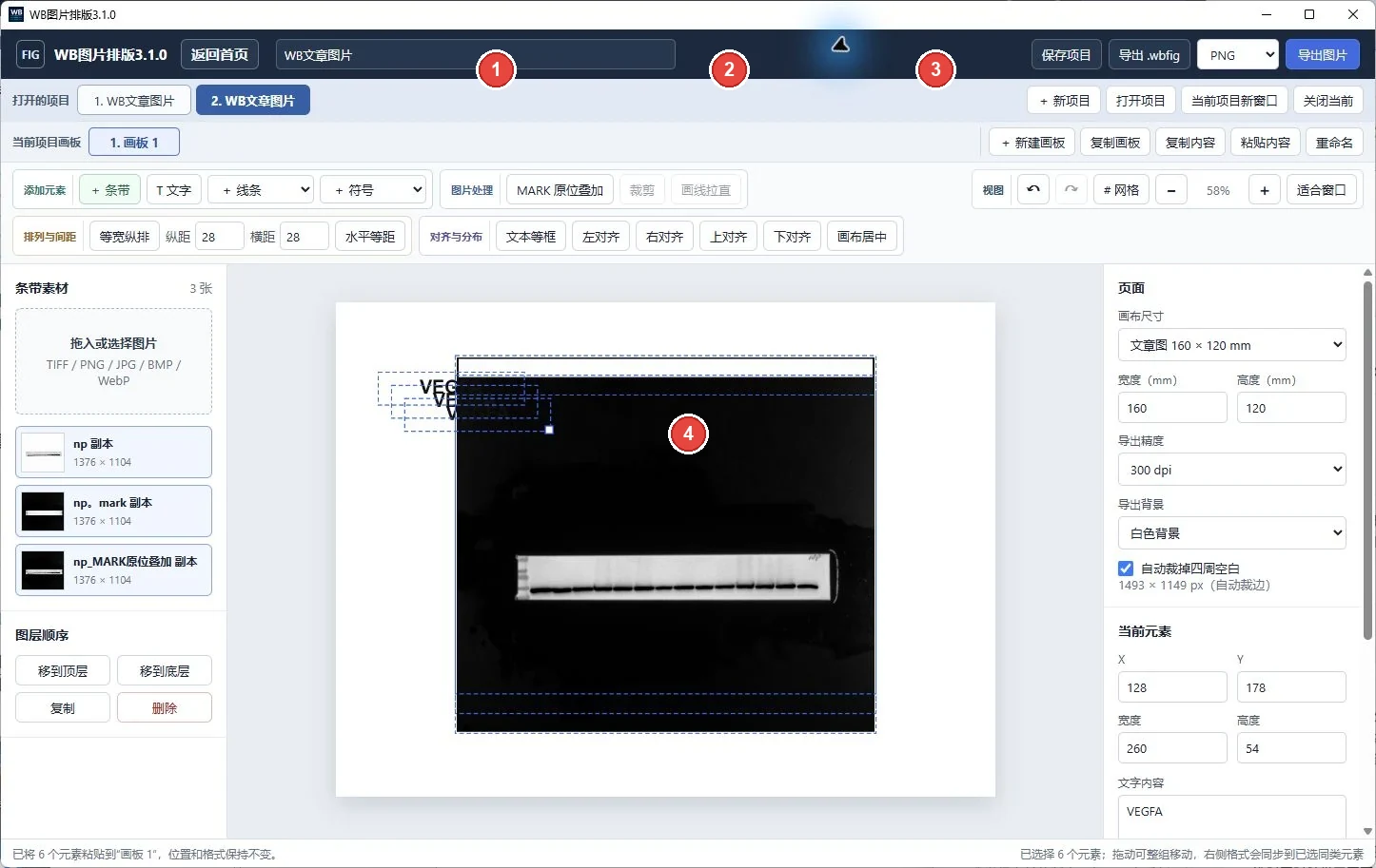 跨项目复制和项目标签